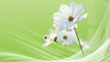 biale-zielone-kwiaty-tlo